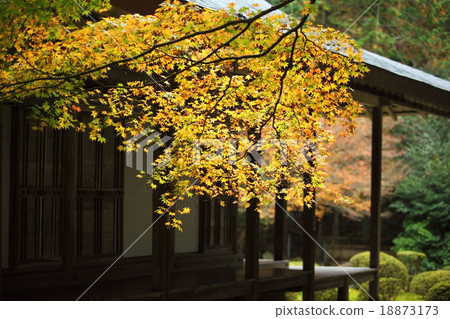 Late Autumn Welcoming House Late Autumn Welcoming House 18873173