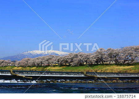 Eyes of the Shiraishi River Tsutsumi Senbonzakura 18875714