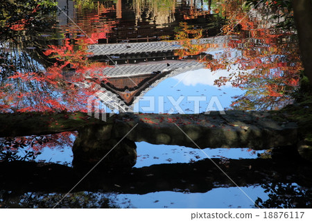 Autumn leaves and ponds of Nanzenji Tenjuan Autumn leaves and ponds of Nanzenji Tenjuan 18876117