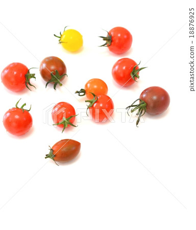 4多彩多彩迷你番茄，白色背景 18876925
