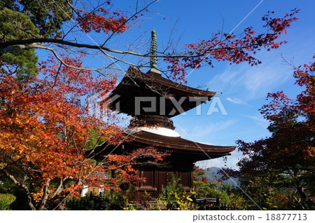 Kono Sagano's "Junkko-ji Temple" Kagami-ga Kono Sagano's "Junkko-ji Temple" Kagami-ga 18877713