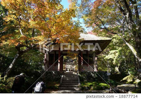 秋天色彩的京都佐賀野的“紺野寺”Nijimon 18877714