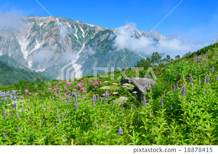 Northern Alps Hakuba Ridge Mountain Northern Alps Hakuba Ridge Mountain 18878415