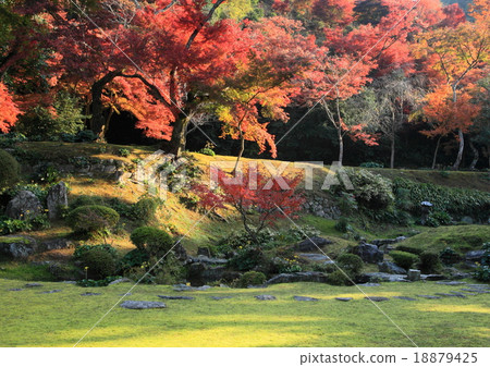 秋天的清水寺本坊庭園（福岡縣瀨高町） 18879425