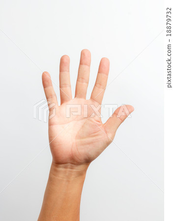 hands counting number five hands counting number five 18879732