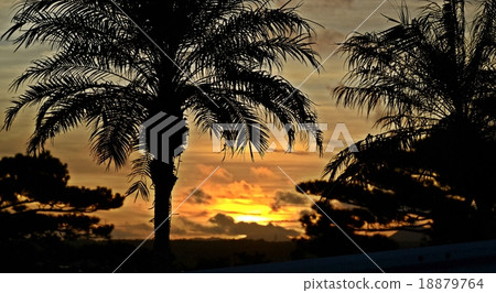 Sunset in Tropical country Sunset in Tropical country 18879764