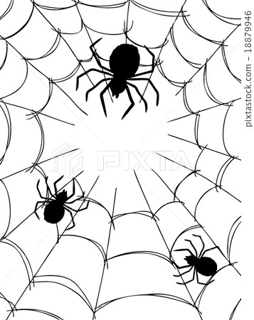 spider and web 18879946