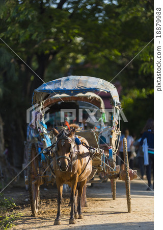 圖庫照片: mandalay 2 november 2015, tourists hire horse carriage