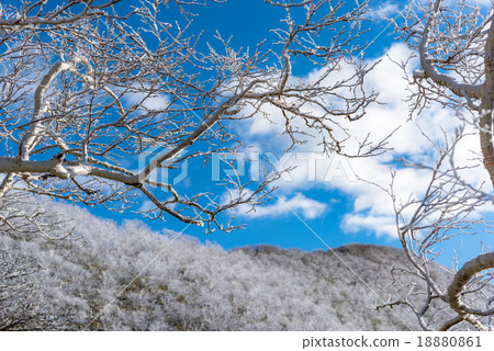 Musa-dake的薄霧冰 18880861