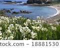 Nenzen no Oka 18881530