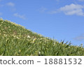 Nenzen no Oka 18881532