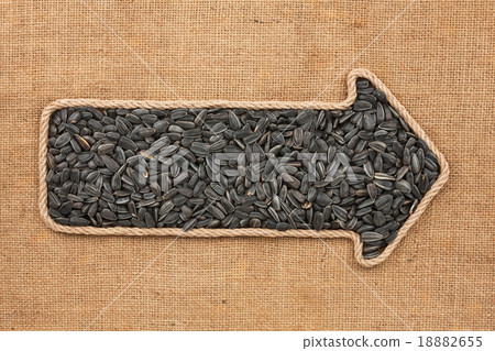 Pointer made from rope with sunflower seeds Pointer made from rope with sunflower seeds 18882655