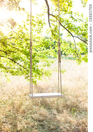 The swing The swing 18883709