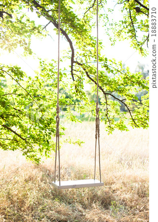 The swing The swing 18883710