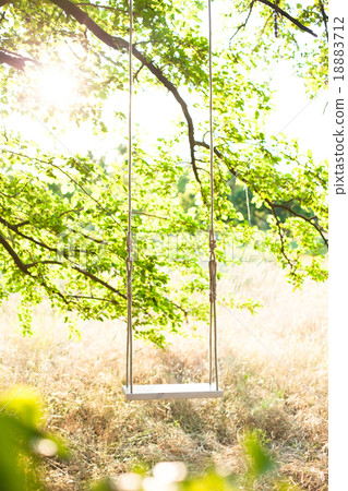 The swing The swing 18883712