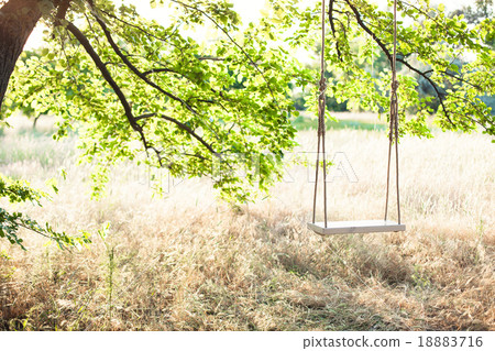 The swing The swing 18883716
