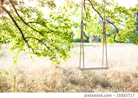 The swing The swing 18883717