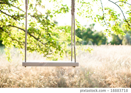 The swing The swing 18883718