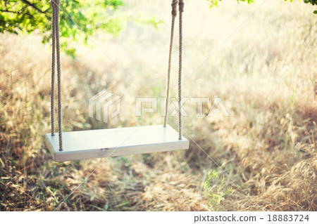 The swing The swing 18883724