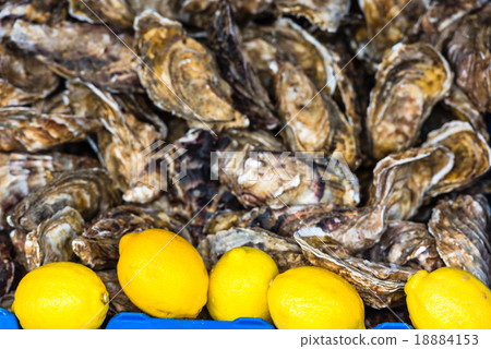 Oysters market in Cancale, France 18884153