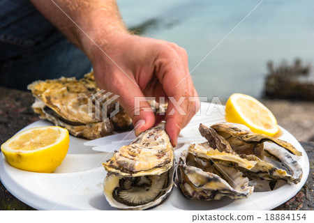 Male hand holding oysters 18884154