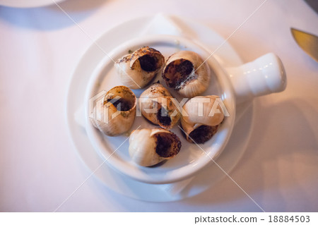 Snails Snails 18884503