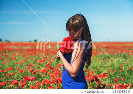 Girl with poppies Girl with poppies 18884520