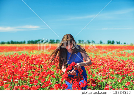 Girl with poppies Girl with poppies 18884533