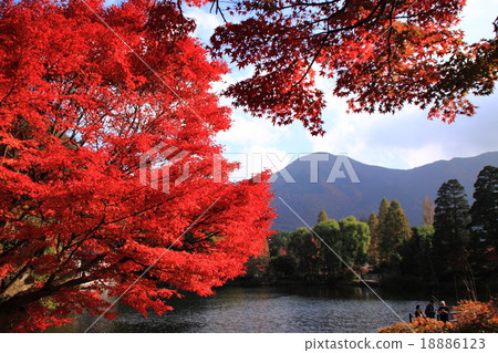 Golden Lake 18886123