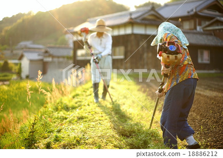 Elderly couple mowing in rural farmers - mowing persons in rural area 18886212