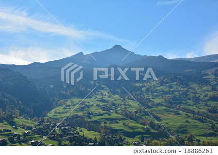 格林德瓦瑞士 18886261