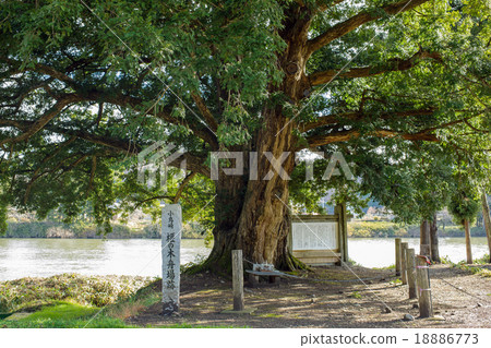 Torii-kisaki的Great Kaya Kitakami河 Torii-kisaki的Great Kaya Kitakami河 18886773