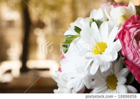 White Flowers in beautiful light White Flowers in beautiful light 18886856