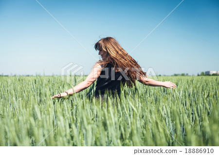 Girl in wheat Girl in wheat 18886910