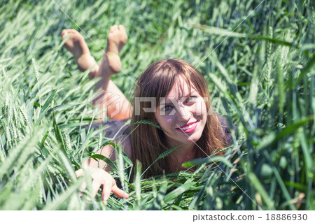 Girl in wheat Girl in wheat 18886930