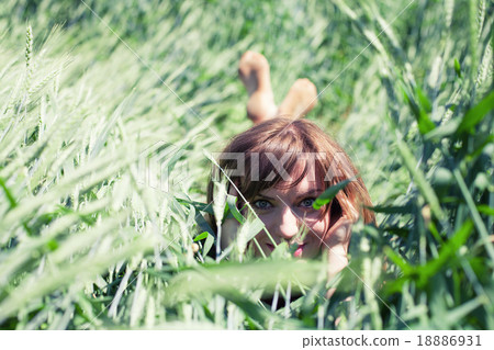 Girl in wheat Girl in wheat 18886931
