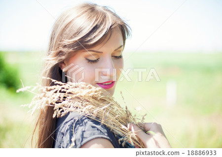 Girl in wheat Girl in wheat 18886933
