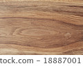 Texture of wood 18887001