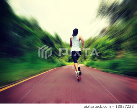 young fitness woman running at forest trail young fitness woman running at forest trail 18887228