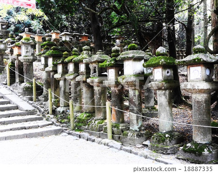 春日大社（Kasuga Taisha Shrine）的成立是為了祈求日本京都的讚助和奈良時代人民的繁榮，並供奉藤原先生的眾神。 18887335