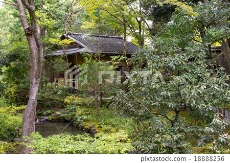 Absent-mindedness 18888256