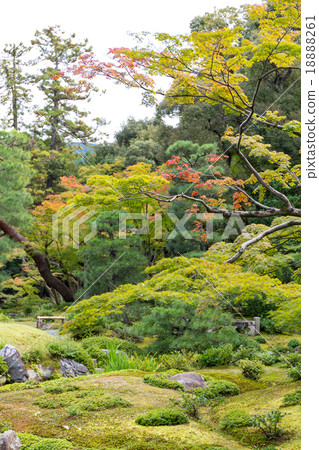 Absent-mindedness 18888261