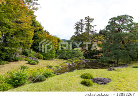 Absent-mindedness 18888267