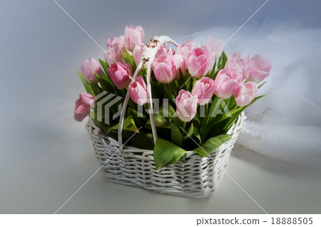 Pink tulips in the basket with wedding rings  18888505
