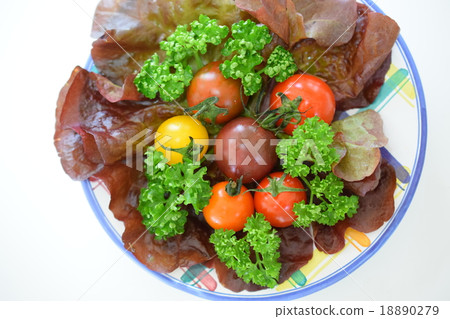 多彩的番茄沙拉 多彩的番茄沙拉 18890279