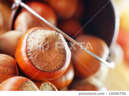 hazelnuts hazelnuts 18890706