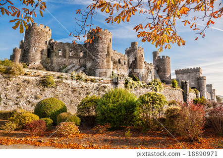 Conwy Castle with autumn leaves in Wales, UK 18890971