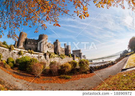 Conwy Castle with autumn leaves in Wales, UK Conwy Castle with autumn leaves in Wales, UK 18890972