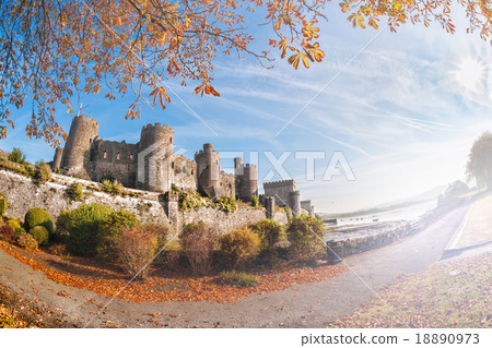 Conwy Castle with autumn leaves in Wales, UK 18890973