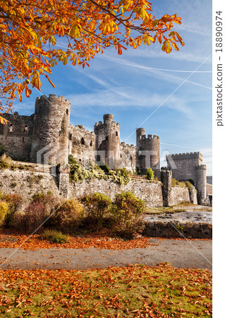 Conwy Castle with autumn leaves in Wales, UK Conwy Castle with autumn leaves in Wales, UK 18890974